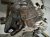 2023 Audi A3 Audi Automatic Transmission = Mi 0GC Replacement 2023 Audi A3 Audi Automatic Transmission = Mi 0GC Replacement thumbnail