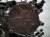 2023 Audi A3 Audi Long Block Engine / Motor = Mi* 06Q 100 031 J Replacement 2023 Audi A3 Audi Long Block Engine / Motor = Mi* 06Q 100 031 J Replacement thumbnail