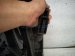 2023 Audi A3 Audi Rear Driver Door Grey No Inside Trim 8Y5 833 051 A Replacement 2023 Audi A3 Audi Rear Driver Door Grey No Inside Trim 8Y5 833 051 A Replacement thumbnail