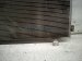 2022 Honda Accord Ac Condenser 80100 TWA A02 Replacement 2022 Honda Accord Ac Condenser 80100 TWA A02 Replacement thumbnail