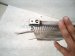 2022 Honda Accord Ac Condenser 80100 TWA A02 Replacement 2022 Honda Accord Ac Condenser 80100 TWA A02 Replacement thumbnail