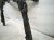 2022 Honda Accord Crossmember Front Engine Sub Frame / Cradle 50200 TVA A03 Replacement 2022 Honda Accord Crossmember Front Engine Sub Frame / Cradle 50200 TVA A03 Replacement thumbnail