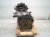 2022 Honda Accord Long Block Engine / Motor = 130k Mi 10002 6C2 A03 Replacement 2022 Honda Accord Long Block Engine / Motor = 130k Mi 10002 6C2 A03 Replacement thumbnail