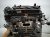 2022 Honda Accord Long Block Engine / Motor = 130k Mi 10002 6C2 A03 Replacement 2022 Honda Accord Long Block Engine / Motor = 130k Mi 10002 6C2 A03 Replacement thumbnail
