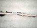 2022 Honda Accord Driver Roof Curtain Airbag 78850 TVA A82 Replacement 2022 Honda Accord Driver Roof Curtain Airbag 78850 TVA A82 Replacement thumbnail