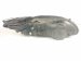 2022 Honda Accord Headlight Passenger Headlamp / Light 33100 TVA A42 Replacement 2022 Honda Accord Headlight Passenger Headlamp / Light 33100 TVA A42 Replacement thumbnail