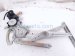2018 Lexus Rx350 Front Rear Passenger Window Regulator W/motor Assy 85710 0E081 Replacement 2018 Lexus Rx350 Front Rear Passenger Window Regulator W/motor Assy 85710 0E081 Replacement thumbnail