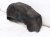 2019 Nissan Pathfinder Rear Passenger Inner Fender Liner 76748 9PR0A Replacement 2019 Nissan Pathfinder Rear Passenger Inner Fender Liner 76748 9PR0A Replacement thumbnail