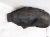 2019 Nissan Pathfinder Rear Passenger Inner Fender Liner 76748 9PR0A Replacement 2019 Nissan Pathfinder Rear Passenger Inner Fender Liner 76748 9PR0A Replacement thumbnail
