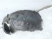 2015 Chrysler 300 Front Driver Inner Fender Liner 68205933AB Replacement 2015 Chrysler 300 Front Driver Inner Fender Liner 68205933AB Replacement thumbnail