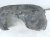 2015 Chrysler 300 Front Driver Inner Fender Liner 68205933AB Replacement 2015 Chrysler 300 Front Driver Inner Fender Liner 68205933AB Replacement thumbnail