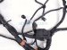 2025 Honda Civic Engine Room Harness W/fuse Hyb Sp 32200 T61 A21 Replacement 2025 Honda Civic Engine Room Harness W/fuse Hyb Sp 32200 T61 A21 Replacement thumbnail