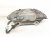 2025 BMW I4 Front Passenger Brake Caliper 34 10 8 844 342 Replacement 2025 BMW I4 Front Passenger Brake Caliper 34 10 8 844 342 Replacement thumbnail