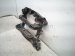 2025 BMW I4 Crossmember Rear Sub Frame / Cradle 33 30 7 916 221 Replacement 2025 BMW I4 Crossmember Rear Sub Frame / Cradle 33 30 7 916 221 Replacement thumbnail