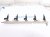 2012 Volkswagen Passat Fuel Rail W/5 Injectors 2.5l 07K 133 317 E Replacement 2012 Volkswagen Passat Fuel Rail W/5 Injectors 2.5l 07K 133 317 E Replacement thumbnail