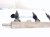 2012 Volkswagen Passat Fuel Rail W/5 Injectors 2.5l 07K 133 317 E Replacement 2012 Volkswagen Passat Fuel Rail W/5 Injectors 2.5l 07K 133 317 E Replacement thumbnail