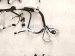 2024 Toyota Tacoma Dash Instrument Wire Harness 4x4 82141 AK140 Replacement 2024 Toyota Tacoma Dash Instrument Wire Harness 4x4 82141 AK140 Replacement thumbnail