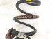 2021 Toyota Corolla Strut / / Shock Absorber Rear Driver Coil Spring 48231 12E40 Replacement 2021 Toyota Corolla Strut / / Shock Absorber Rear Driver Coil Spring 48231 12E40 Replacement thumbnail