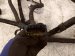 2012 Volkswagen Passat Main Engine Wire Harness 2.5l Fwd 07K 971 627 D Replacement 2012 Volkswagen Passat Main Engine Wire Harness 2.5l Fwd 07K 971 627 D Replacement thumbnail