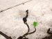 2012 Volkswagen Passat Main Engine Wire Harness 2.5l Fwd 07K 971 627 D Replacement 2012 Volkswagen Passat Main Engine Wire Harness 2.5l Fwd 07K 971 627 D Replacement thumbnail