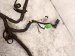 2012 Volkswagen Passat Main Engine Wire Harness 2.5l Fwd 07K 971 627 D Replacement 2012 Volkswagen Passat Main Engine Wire Harness 2.5l Fwd 07K 971 627 D Replacement thumbnail