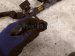 2012 Volkswagen Passat Main Engine Wire Harness 2.5l Fwd 07K 971 627 D Replacement 2012 Volkswagen Passat Main Engine Wire Harness 2.5l Fwd 07K 971 627 D Replacement thumbnail