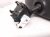 2024 Honda Accord Inside / Interior Rear View Mirror 76400 30A K01 Replacement 2024 Honda Accord Inside / Interior Rear View Mirror 76400 30A K01 Replacement thumbnail
