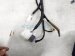 2025 Honda Civic Dash Instrument Wire Harness Hyb 32117 T61 A20 Replacement 2025 Honda Civic Dash Instrument Wire Harness Hyb 32117 T61 A20 Replacement thumbnail