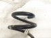 2021 Tesla Model Y Strut / / Shock Absorber Rear Passenger Coil Spring Awd 1188474 00 B Replacement 2021 Tesla Model Y Strut / / Shock Absorber Rear Passenger Coil Spring Awd 1188474 00 B Replacement thumbnail