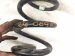 2021 Tesla Model Y Strut / / Shock Absorber Rear Passenger Coil Spring Awd 1188474 00 B Replacement 2021 Tesla Model Y Strut / / Shock Absorber Rear Passenger Coil Spring Awd 1188474 00 B Replacement thumbnail