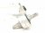 2021 Tesla Model Y Front Driver Lower Control Arm 1188341 00 C Replacement 2021 Tesla Model Y Front Driver Lower Control Arm 1188341 00 C Replacement thumbnail
