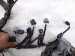 2024 Toyota Tacoma Engine Room Wiring Harness 2.4l 4x4 82121 AK030 Replacement 2024 Toyota Tacoma Engine Room Wiring Harness 2.4l 4x4 82121 AK030 Replacement thumbnail