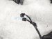 2024 Toyota Tacoma Engine Room Wiring Harness 2.4l 4x4 82121 AK030 Replacement 2024 Toyota Tacoma Engine Room Wiring Harness 2.4l 4x4 82121 AK030 Replacement thumbnail
