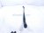 2024 Toyota Tacoma Passenger Windshield Wiper Arm 85211 AK010 Replacement 2024 Toyota Tacoma Passenger Windshield Wiper Arm 85211 AK010 Replacement thumbnail