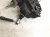 2025 Subaru Forester A/t Floor Shifter W/knob Assy 35150FJ020 Replacement 2025 Subaru Forester A/t Floor Shifter W/knob Assy 35150FJ020 Replacement thumbnail