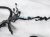 2019 Honda Pilot Main Engine Wire Harness 3.5l Awd 32110 RLV A51 Replacement 2019 Honda Pilot Main Engine Wire Harness 3.5l Awd 32110 RLV A51 Replacement thumbnail