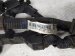 2019 Honda Pilot Main Engine Wire Harness 3.5l Awd 32110 RLV A51 Replacement 2019 Honda Pilot Main Engine Wire Harness 3.5l Awd 32110 RLV A51 Replacement thumbnail