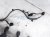 2019 Honda Pilot Main Engine Wire Harness 3.5l Awd 32110 RLV A51 Replacement 2019 Honda Pilot Main Engine Wire Harness 3.5l Awd 32110 RLV A51 Replacement thumbnail