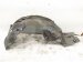 2019 Honda Insight Front Driver Inner Fender Liner 74154 TGG A00 Replacement 2019 Honda Insight Front Driver Inner Fender Liner 74154 TGG A00 Replacement thumbnail