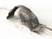 2019 Honda Insight Front Driver Inner Fender Liner 74154 TGG A00 Replacement 2019 Honda Insight Front Driver Inner Fender Liner 74154 TGG A00 Replacement thumbnail
