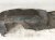 2019 Honda Insight Front Driver Inner Fender Liner 74154 TGG A00 Replacement 2019 Honda Insight Front Driver Inner Fender Liner 74154 TGG A00 Replacement thumbnail