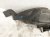 2023 Jeep Cherokee Rear Passenger Inner Fender Liner 68287924AD Replacement 2023 Jeep Cherokee Rear Passenger Inner Fender Liner 68287924AD Replacement thumbnail