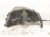 2023 Jeep Cherokee Rear Driver Inner Fender Liner 68287925AD Replacement 2023 Jeep Cherokee Rear Driver Inner Fender Liner 68287925AD Replacement thumbnail