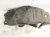2023 Jeep Cherokee Rear Driver Inner Fender Liner 68287925AD Replacement 2023 Jeep Cherokee Rear Driver Inner Fender Liner 68287925AD Replacement thumbnail