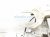 2022 Volkswagen Taos Driver Apron Frame Rail Cut White 3Q0 809 121 B Replacement 2022 Volkswagen Taos Driver Apron Frame Rail Cut White 3Q0 809 121 B Replacement thumbnail