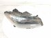 2014 Mercedes Cla250 Headlight Passenger Headlamp / Light Halogen A 117 820 08 61 Replacement 2014 Mercedes Cla250 Headlight Passenger Headlamp / Light Halogen A 117 820 08 61 Replacement thumbnail