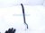 2019 Honda Pilot Driver Windshield Wiper Arm 76600 TG7 A01 Replacement 2019 Honda Pilot Driver Windshield Wiper Arm 76600 TG7 A01 Replacement thumbnail