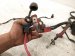 2015 Chrysler 300 Main Engine Wire Harness 3.6l Awd 68241416AC Replacement 2015 Chrysler 300 Main Engine Wire Harness 3.6l Awd 68241416AC Replacement thumbnail