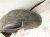 2015 Chrysler 300 Rear Driver Inner Fender Liner 68205935AC Replacement 2015 Chrysler 300 Rear Driver Inner Fender Liner 68205935AC Replacement thumbnail