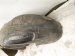 2015 Chrysler 300 Rear Driver Inner Fender Liner 68205935AC Replacement 2015 Chrysler 300 Rear Driver Inner Fender Liner 68205935AC Replacement thumbnail